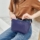Cobat_Blue-3